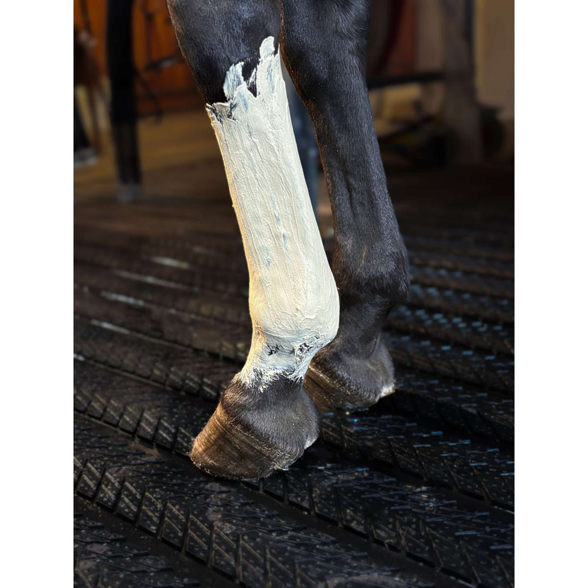 Kevin Bacon's Fresh Clay