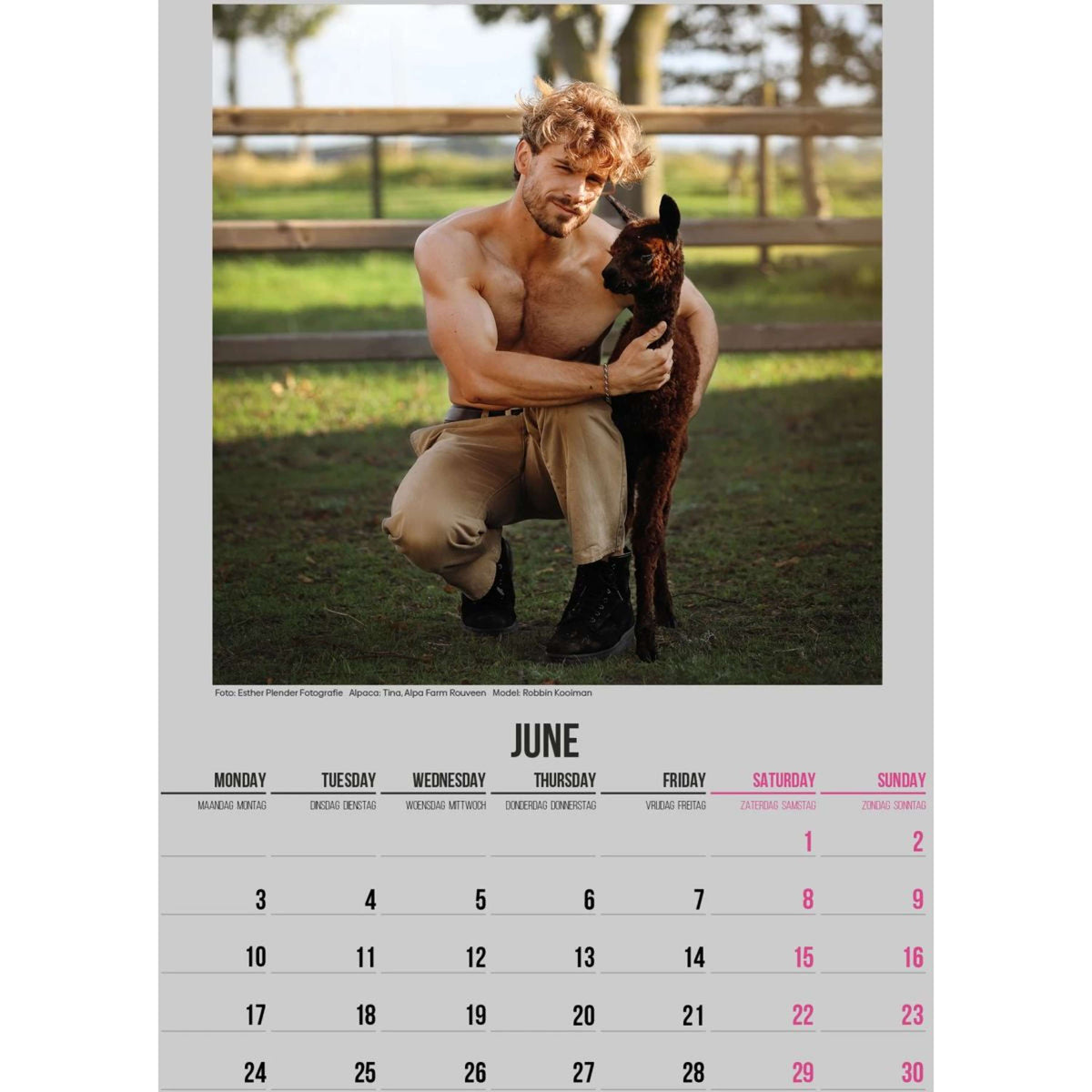 Alpaca and Hunk Kalender Horse and Hunk