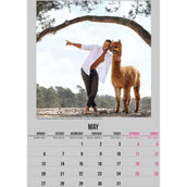 Alpaca and Hunk Kalender Horse and Hunk