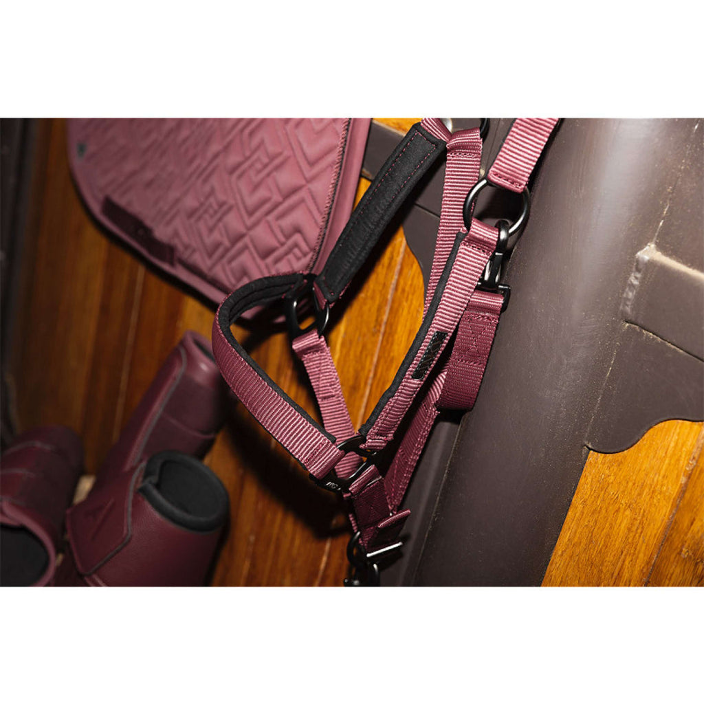 ANKY Halfterset ATH26001 3C Sassafras