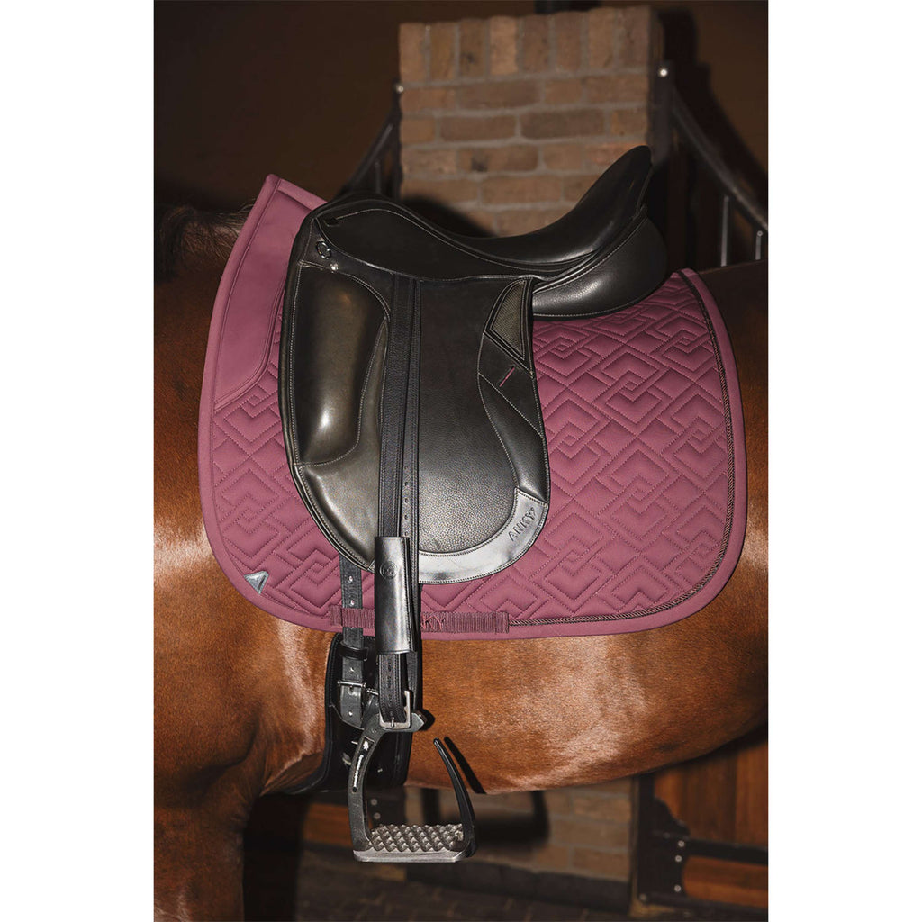 ANKY Schabracke Professional XB25001 3C Dressur Sassafras