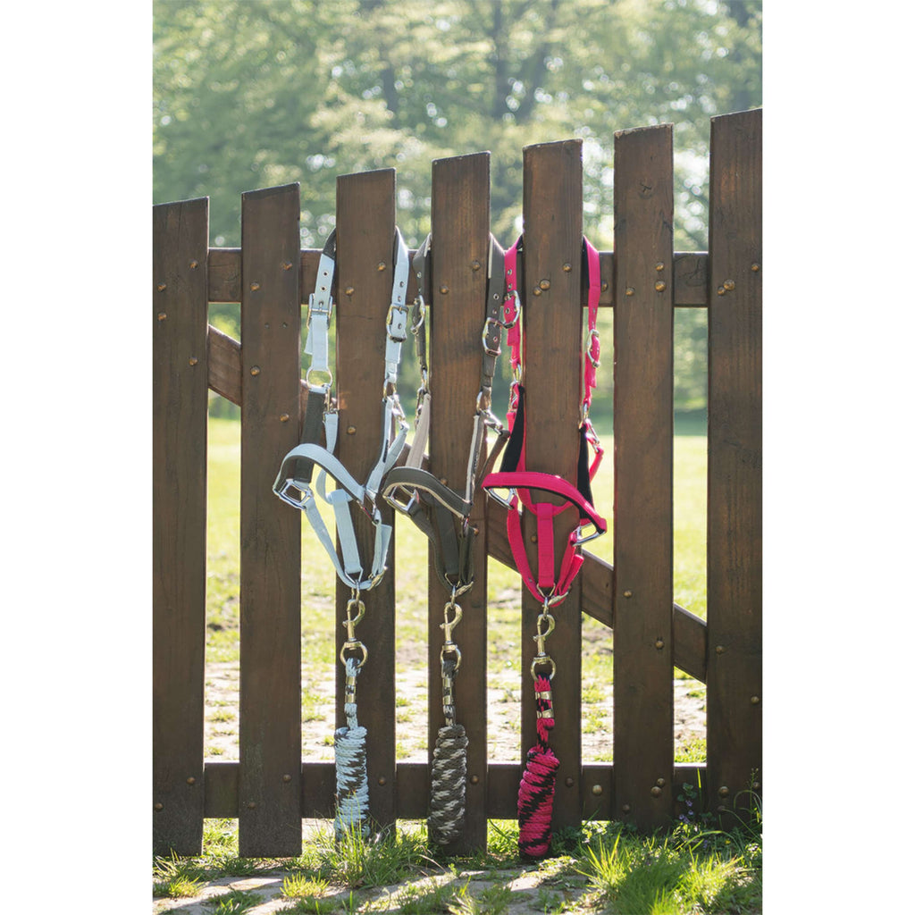 ANKY Halfterset ATH261001 Nantucket Breeze