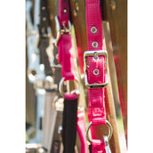 ANKY Halfterset ATH261001 Innuendo