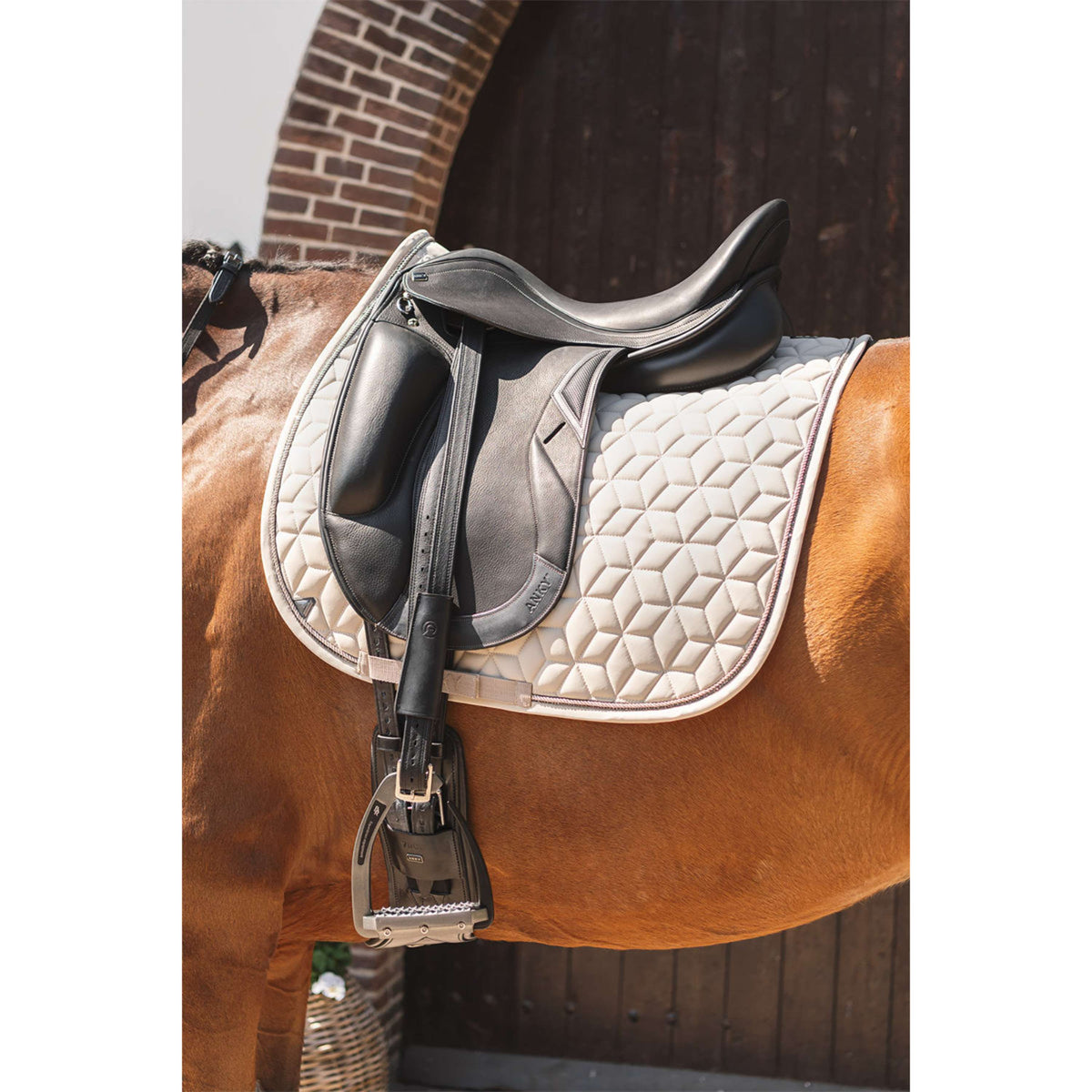 ANKY Schabracke Vivacity XB261111 Dressur Island Fossil