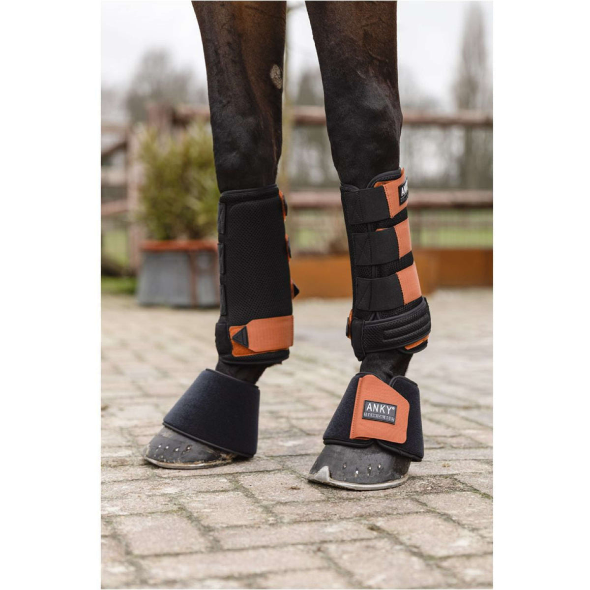 ANKY Hufglocken Neoprene Black/Rust