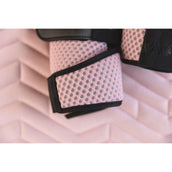 ANKY Schabracke AW25 Suede Dressur Bridal Rose