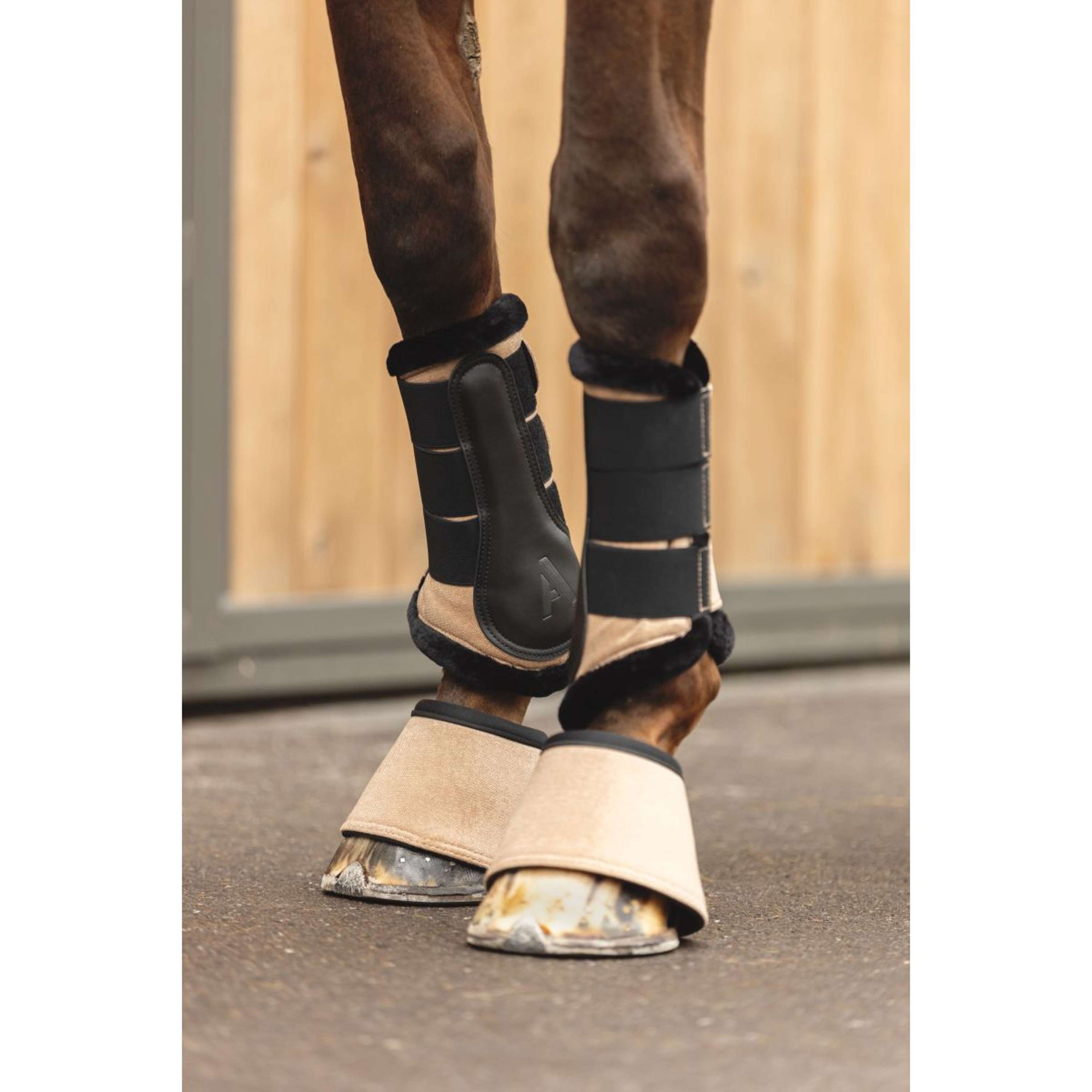 ANKY Hufglocken AW25 Amphora ANKY Hufglocken AW25 Amphora