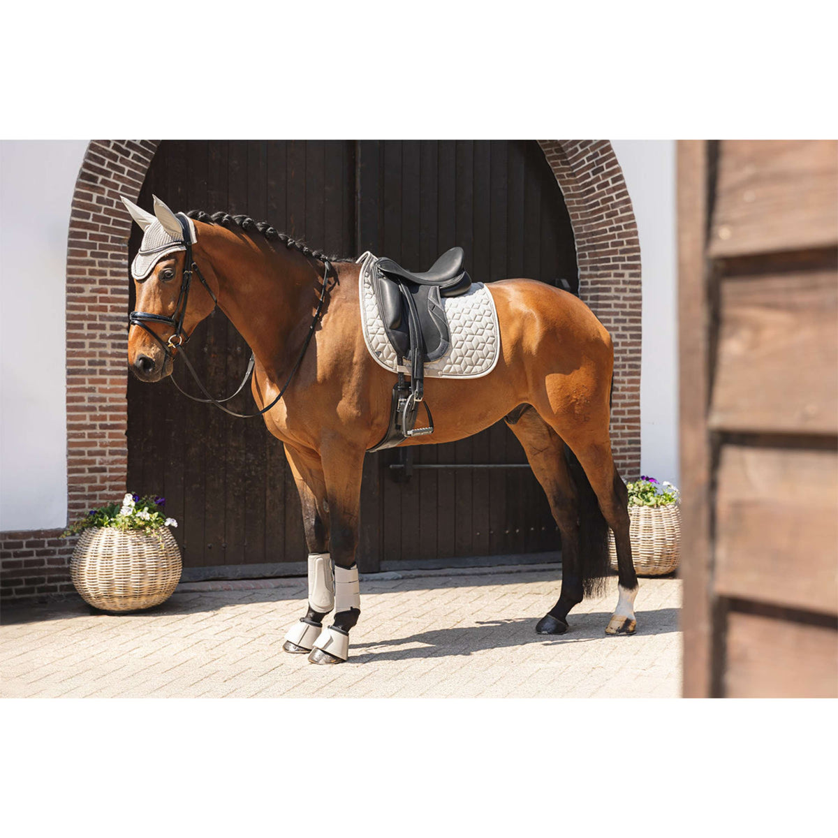 ANKY Schabracke Vivacity XB261111 Dressur Island Fossil