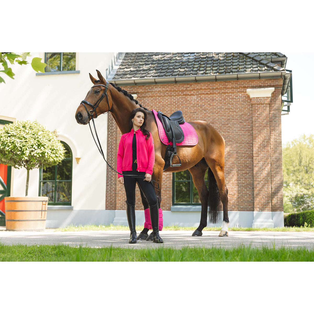 ANKY Schabracke Suede XB261112 Dressur Innuendo