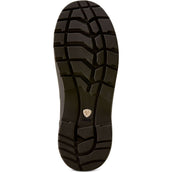 Ariat Stiefeletten Kelmarsh Shortie Damen Chocolate/Tan Twill