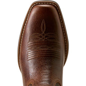 Ariat Westernstiefel Lucera NcToe Damen Deepest Tan/Chocolate Snake