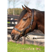 Harry's Horse Halfterset Kirchberg Jet Black