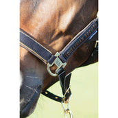 Harry's Horse Halfterset Kirchberg Jet Black