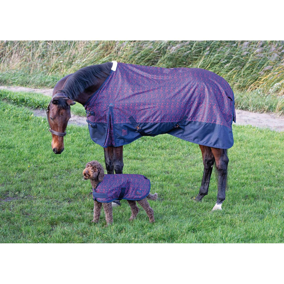 Harry's Horse Regendecke Thor 0g Dress Blues