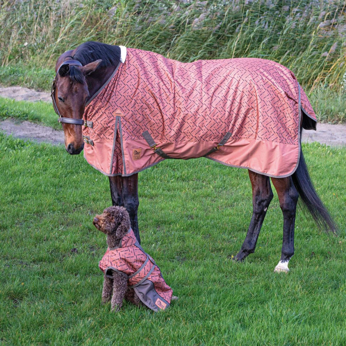 Harry's Horse Regendecke Thor Fleece 0g Sierra