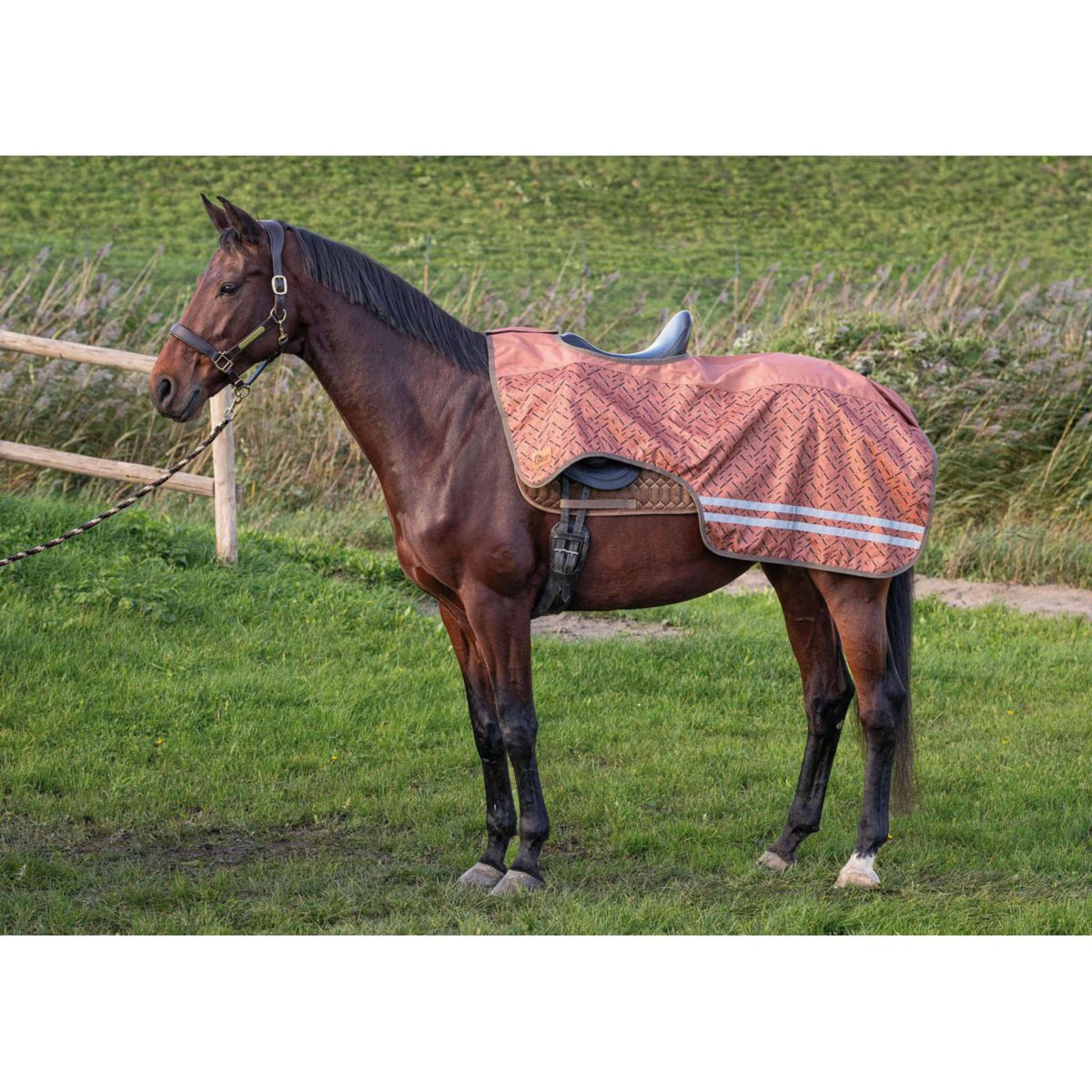 Harry's Horse Ausreitdecke Fleece Sierra