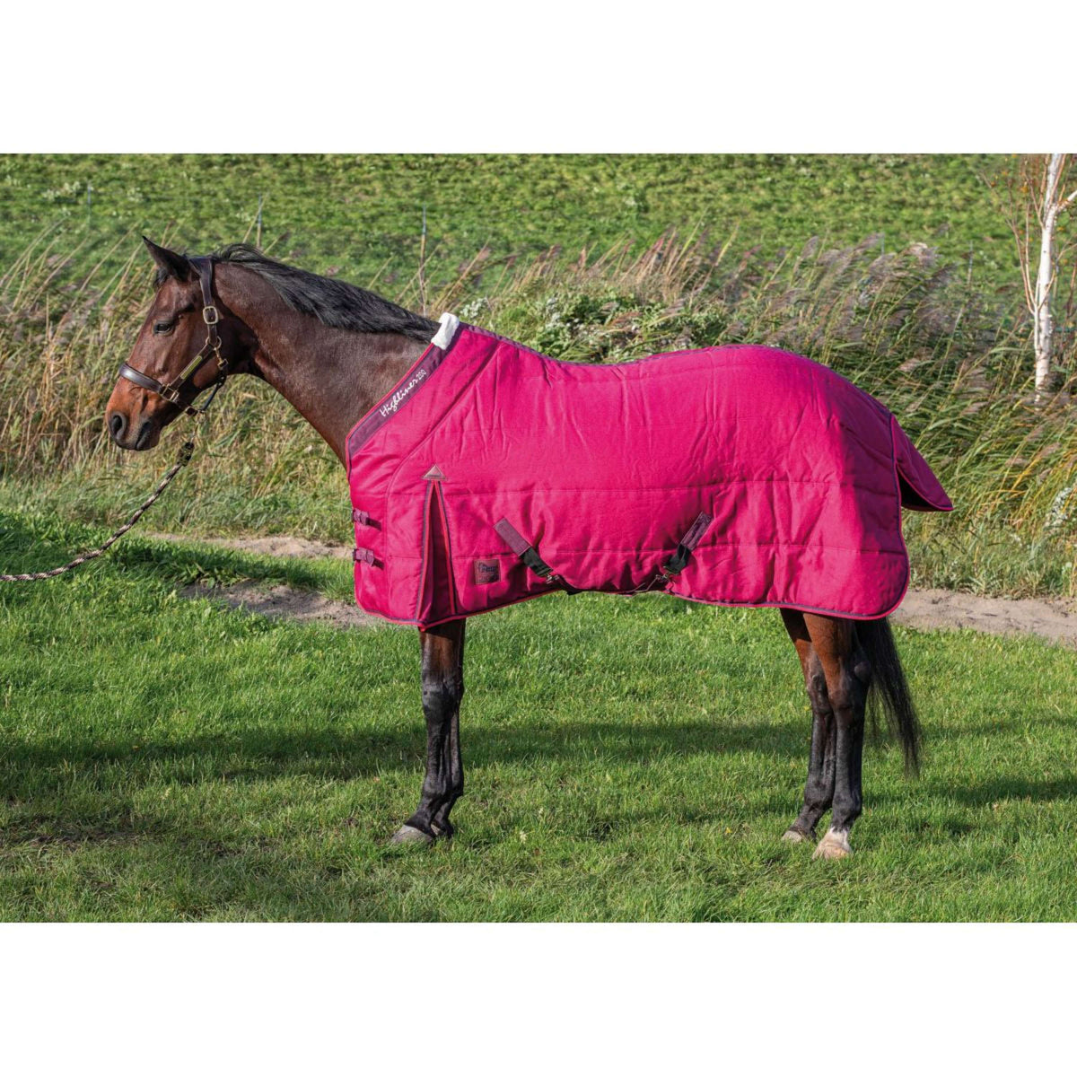 Harry's Horse Stalldecke Highliner 200g Beaujolais