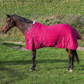 Harry's Horse Stalldecke Highliner 200g Beaujolais