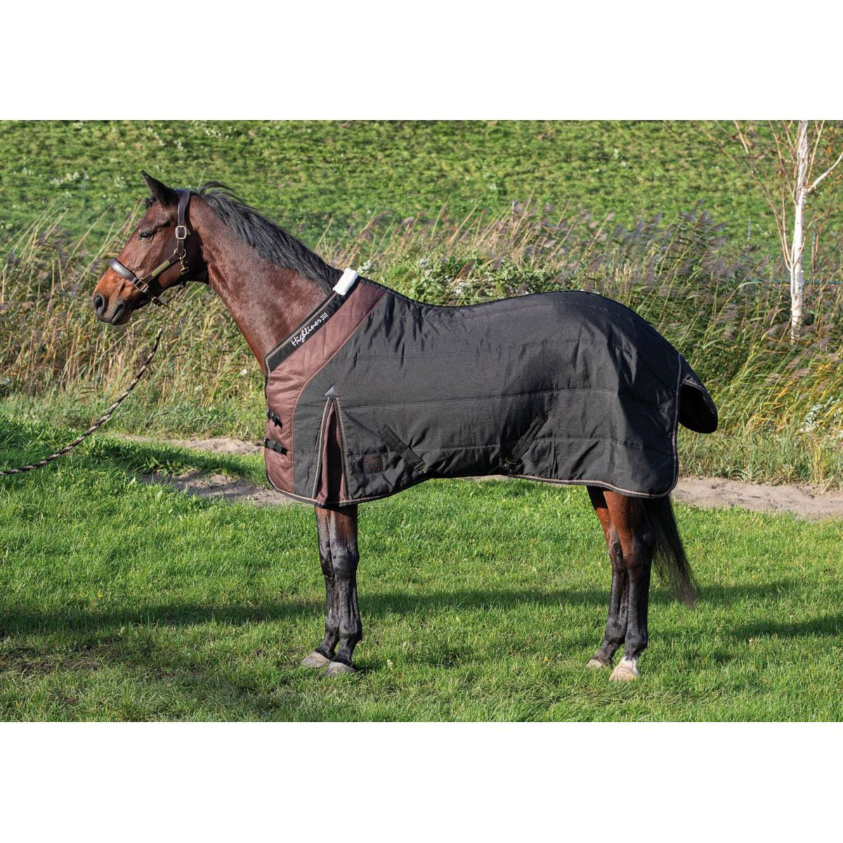 Harry's Horse Stalldecke Highliner 300gr Jet Black