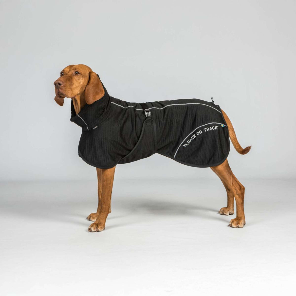Back on Track Hundejacke BAY Mesh Schwarz