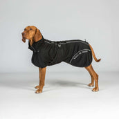Back on Track Hundejacke BAY Mesh Schwarz