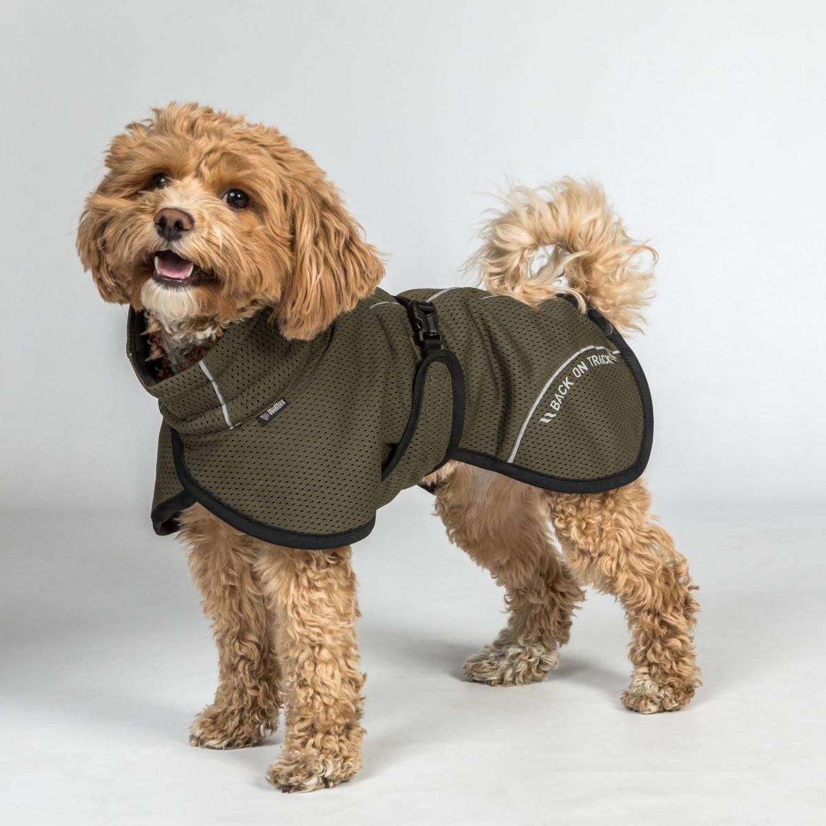Back on Track Hundejacke BAY Mesh Olive