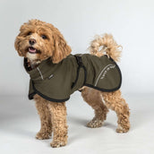 Back on Track Hundejacke BAY Mesh Olive