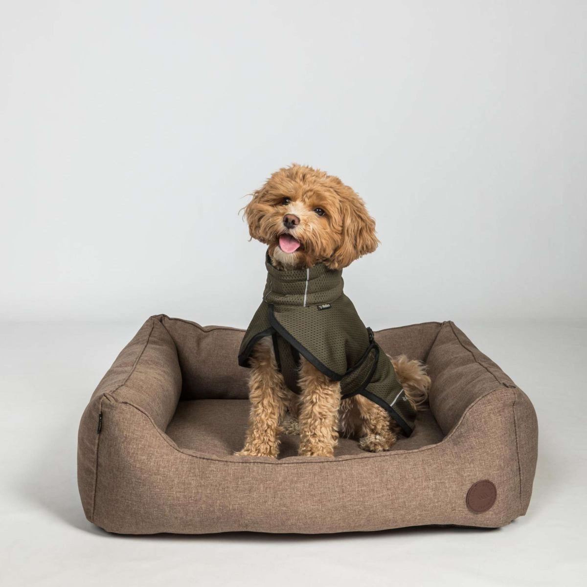 Back on Track Hundejacke BAY Mesh Olive