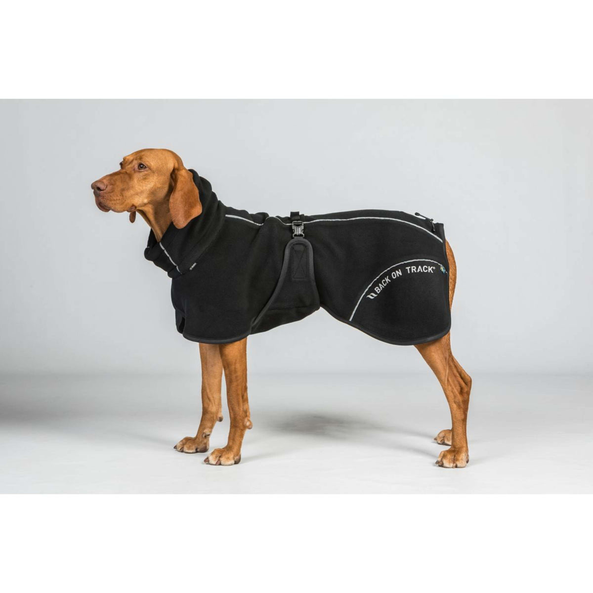 Back on Track Hundejacke BAY Fleece Schwarz