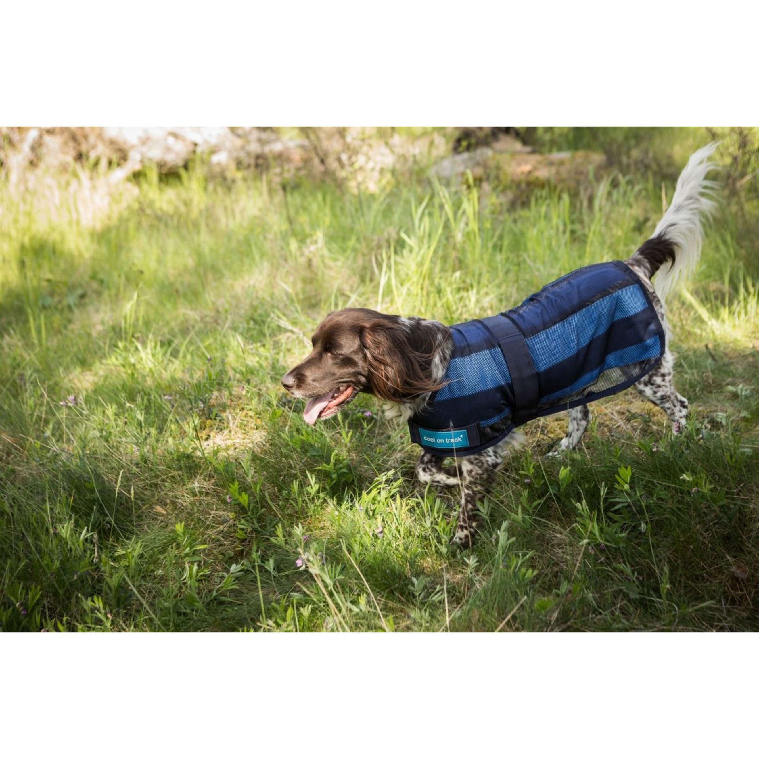 Cool on Track Hundejacke 2.0 Blau