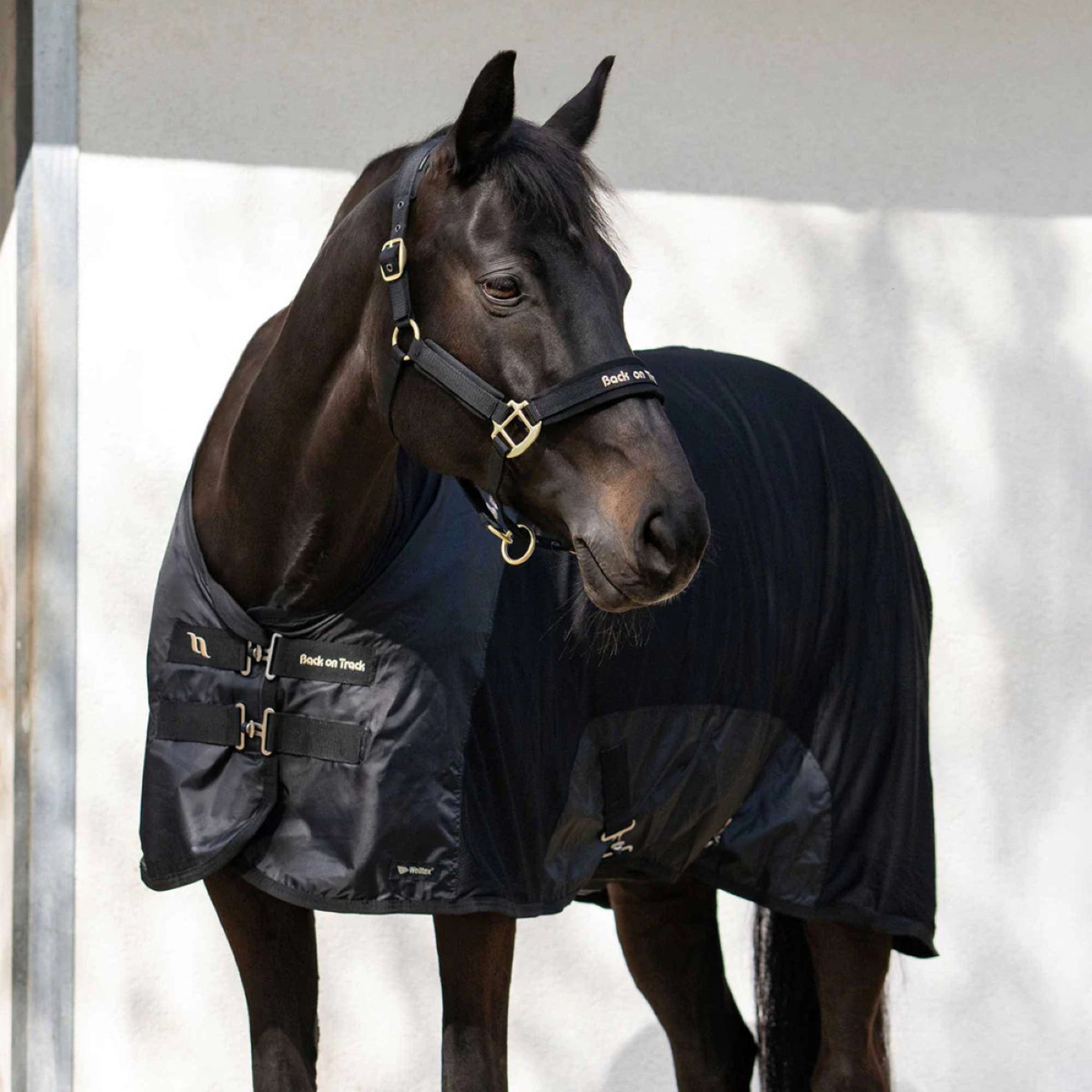 Back on Track Feinmaschig Decke Royal Deluxe Schwarz Back on Track Feinmaschig Decke Royal Deluxe Schwarz