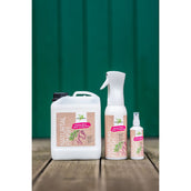 Bense & Eicke Natural Finish