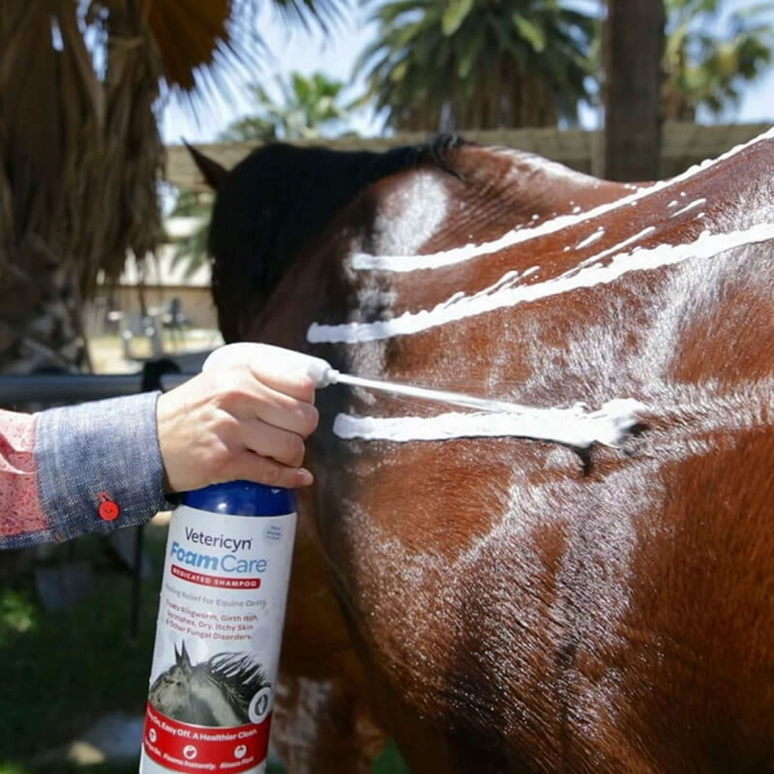 Vetericyn Foamcare Pferdeshampoo Erste Hilfe