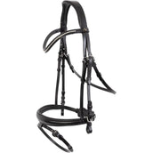 BR Zaum Cannock Schwarz/Silber