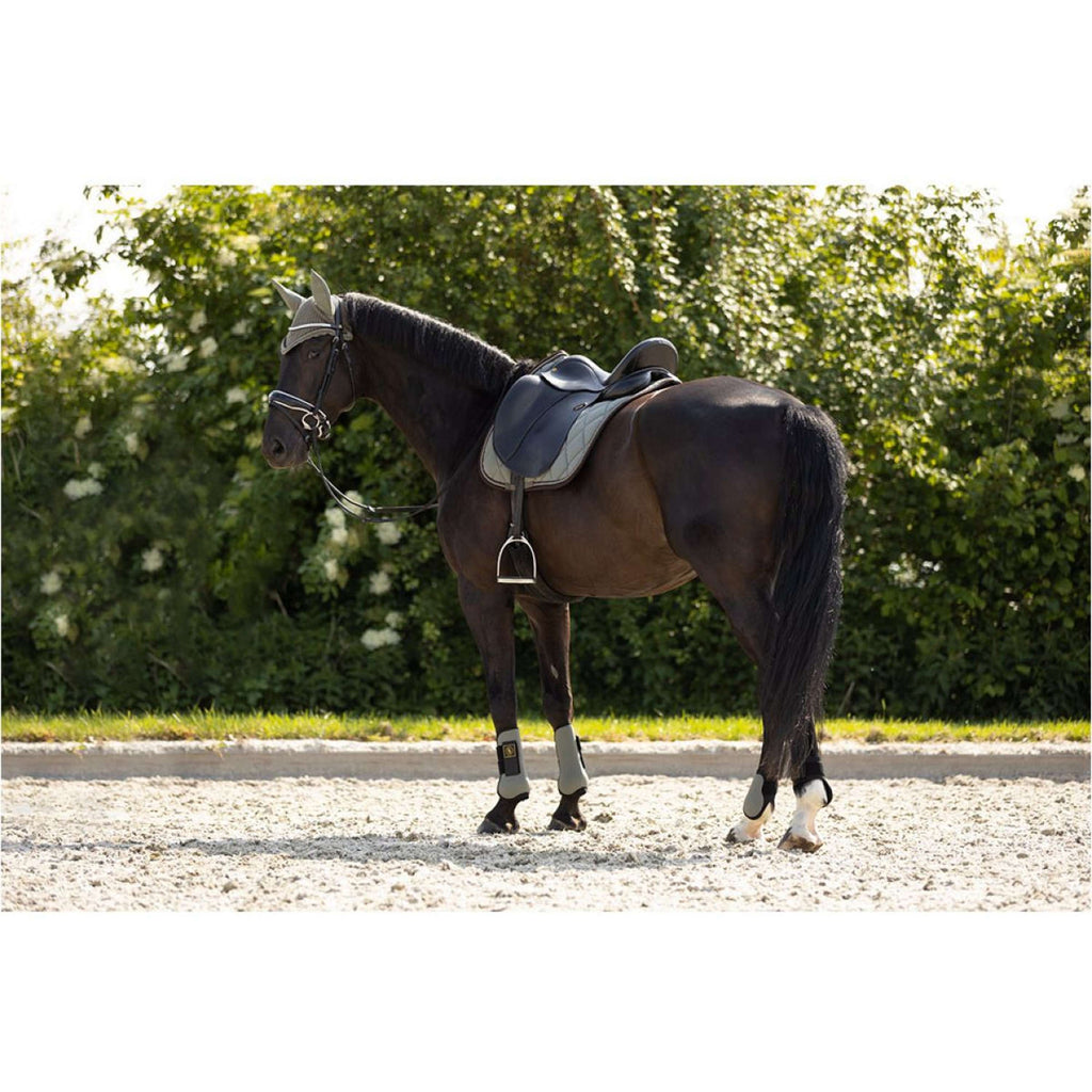 BR Gamaschen Event Neopreen Voering Mulled Basil