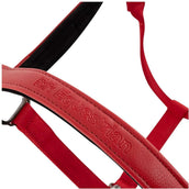 BR Halfter AW25 Jade Tango Rot