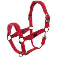 BR Halfter AW25 Julia Tango Rot