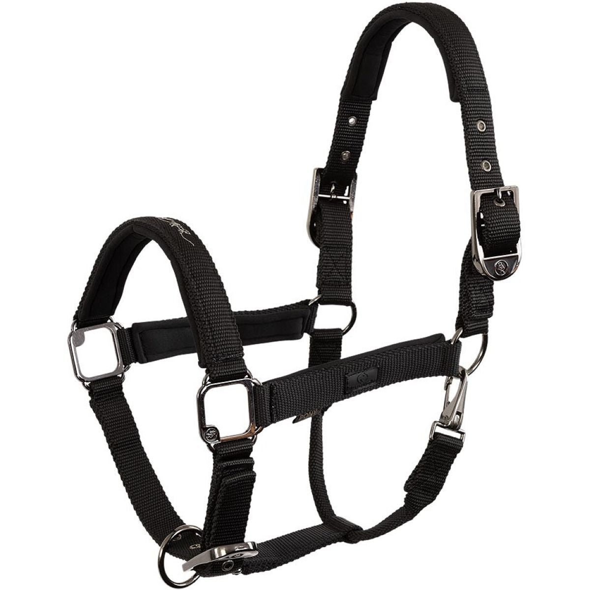 BR Halfter AW25 Eevolv Josh Meteorite