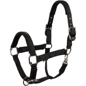 BR Halfter AW25 Eevolv Josh Meteorite