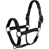 BR Halfter AW25 Eevolv Josh Meteorite