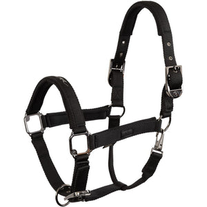 BR Halfter AW25 Eevolv Josh Meteorite