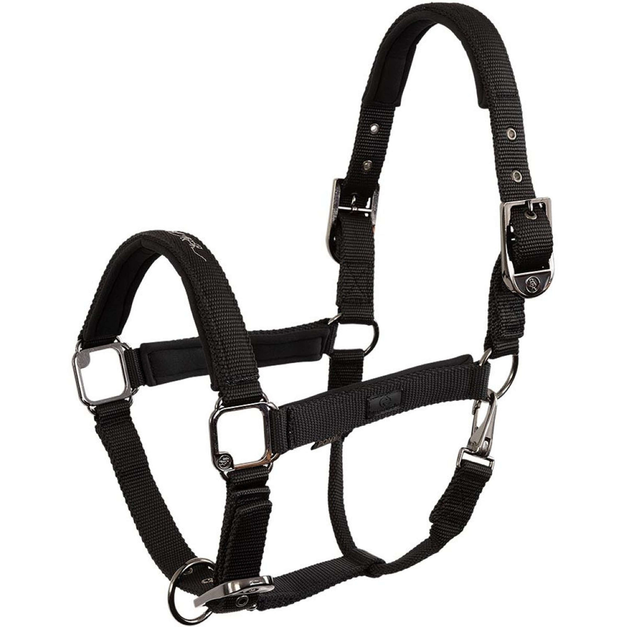 BR Halfter AW25 Eevolv Josh Meteorite