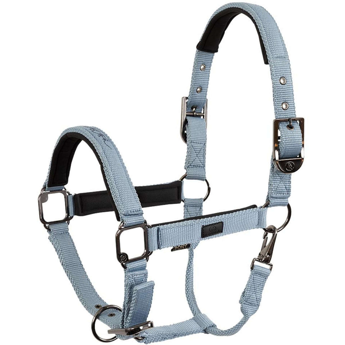 BR Halfter AW25 Eevolv Josh Ashley Blue