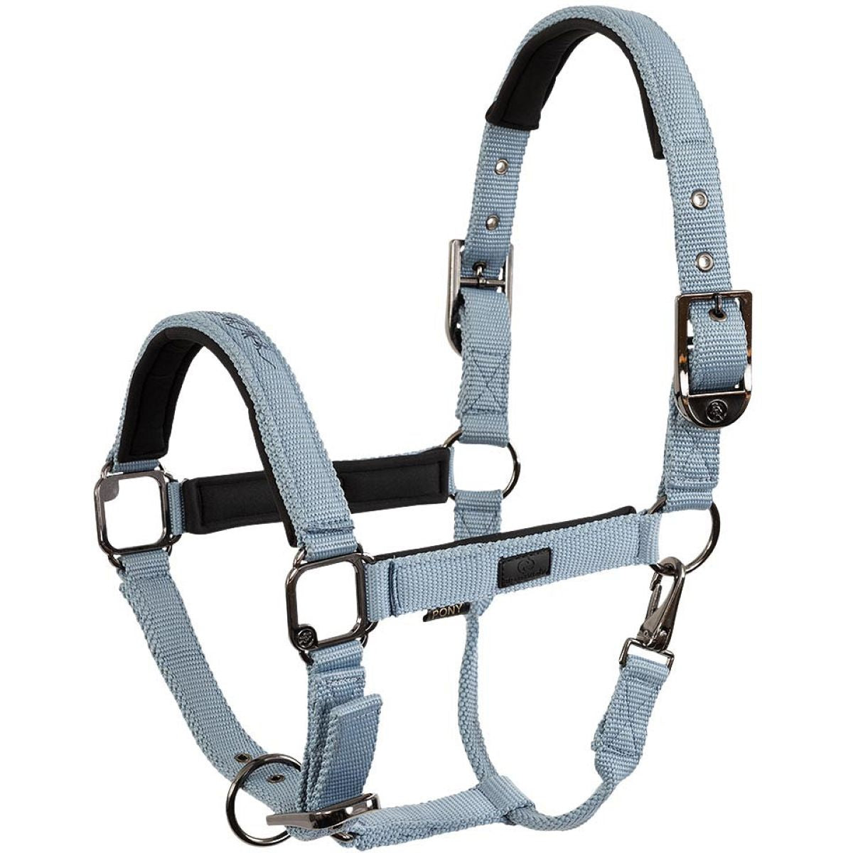 BR Halfter AW25 Eevolv Josh Ashley Blue