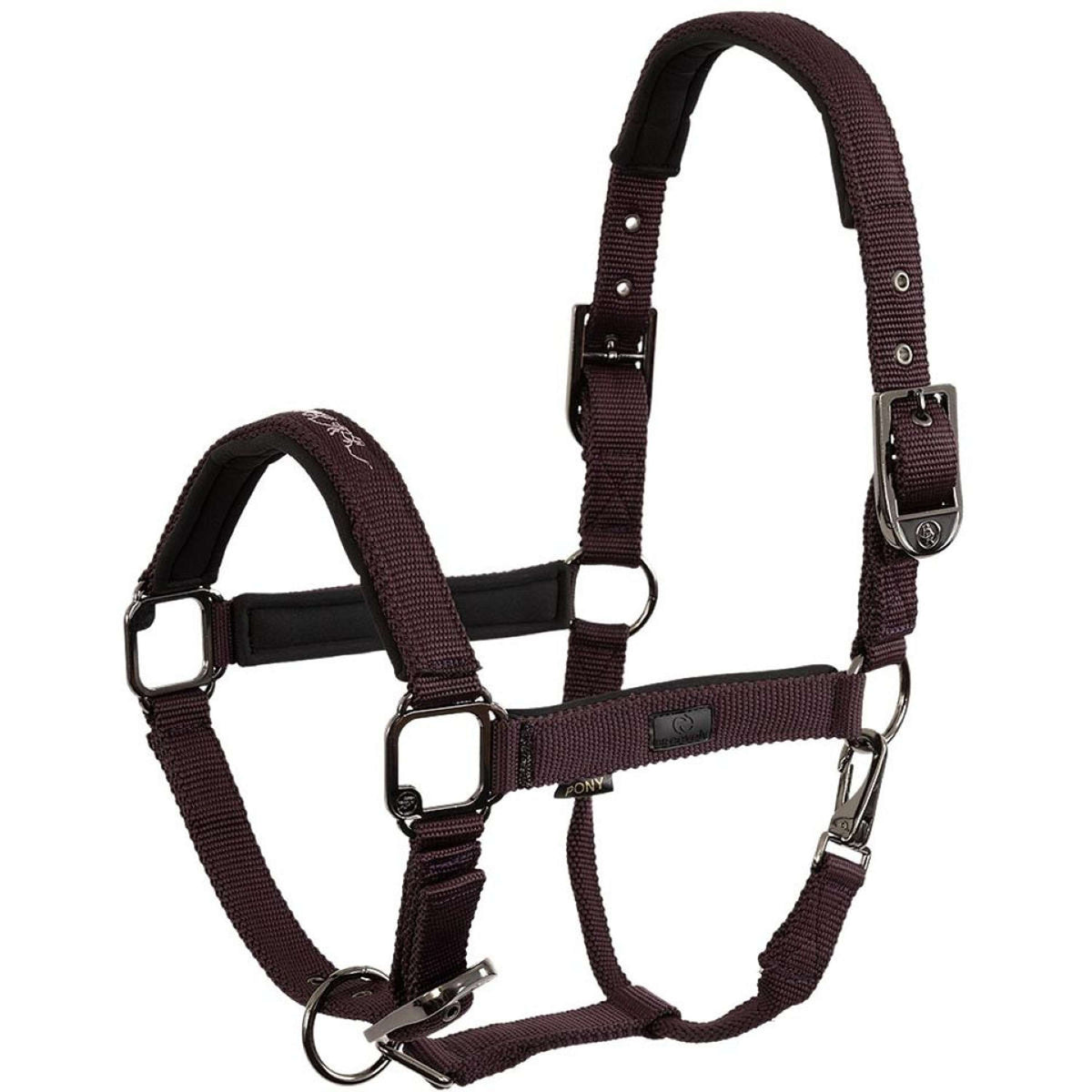 BR Halfter AW25 Eevolv Josh Raisin