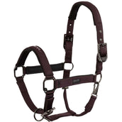 BR Halfter AW25 Eevolv Josh Raisin