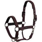 BR Halfter AW25 Eevolv Josh Raisin