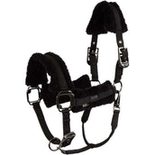 BR Halfter AW25 Eevolv Jonne Meteorite