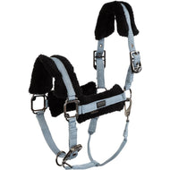 BR Halfter AW25 Eevolv Jonne Ashley Blue