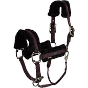 BR Halfter AW25 Eevolv Jonne Raisin